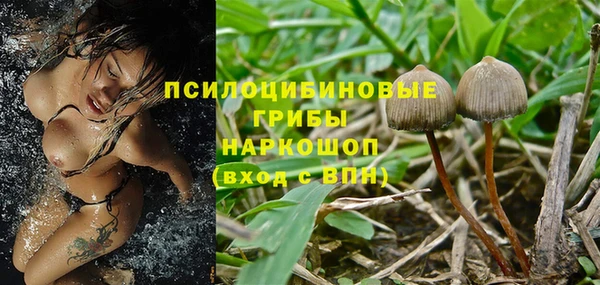 бошки Елабуга