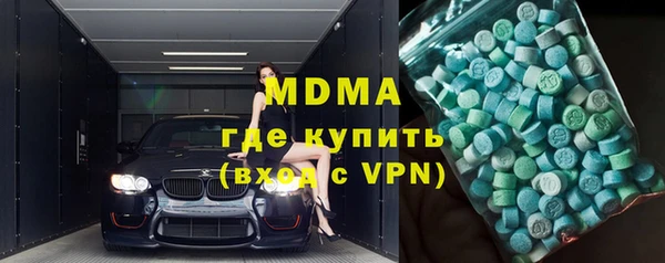 прущие грибы Ельня