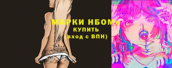 бошки Елабуга
