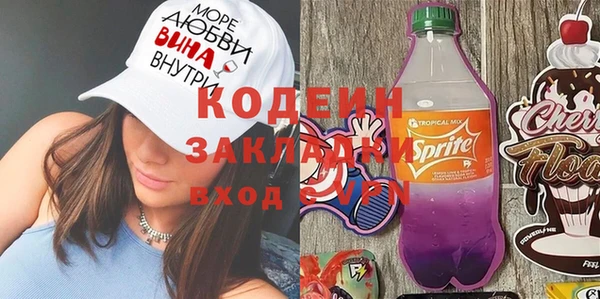 прущие грибы Ельня
