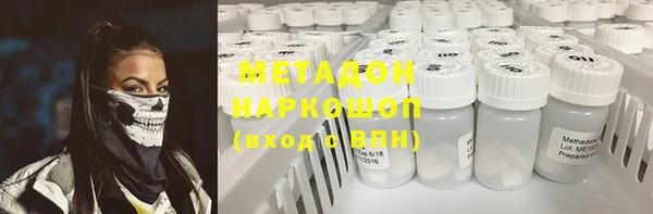 прущие грибы Ельня