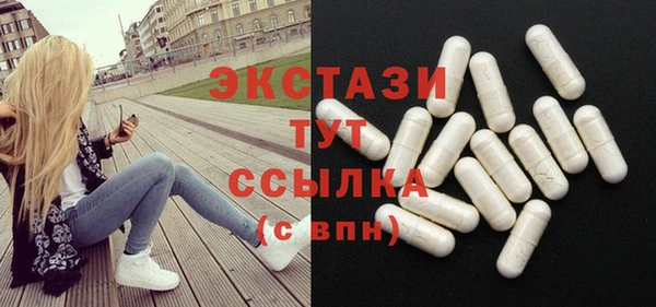 прущие грибы Ельня