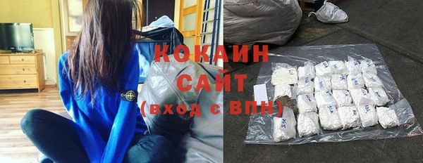 прущие грибы Ельня