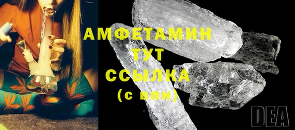 прущие грибы Ельня