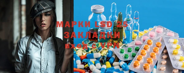 прущие грибы Ельня
