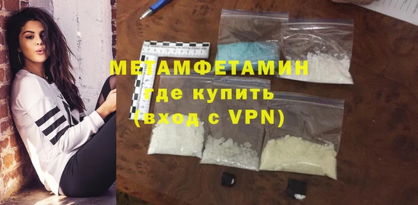 прущие грибы Ельня