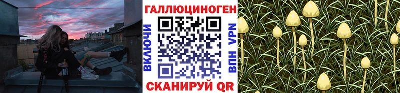 Галлюциногенные грибы Psilocybe  Купить закладки  Краснодар 
